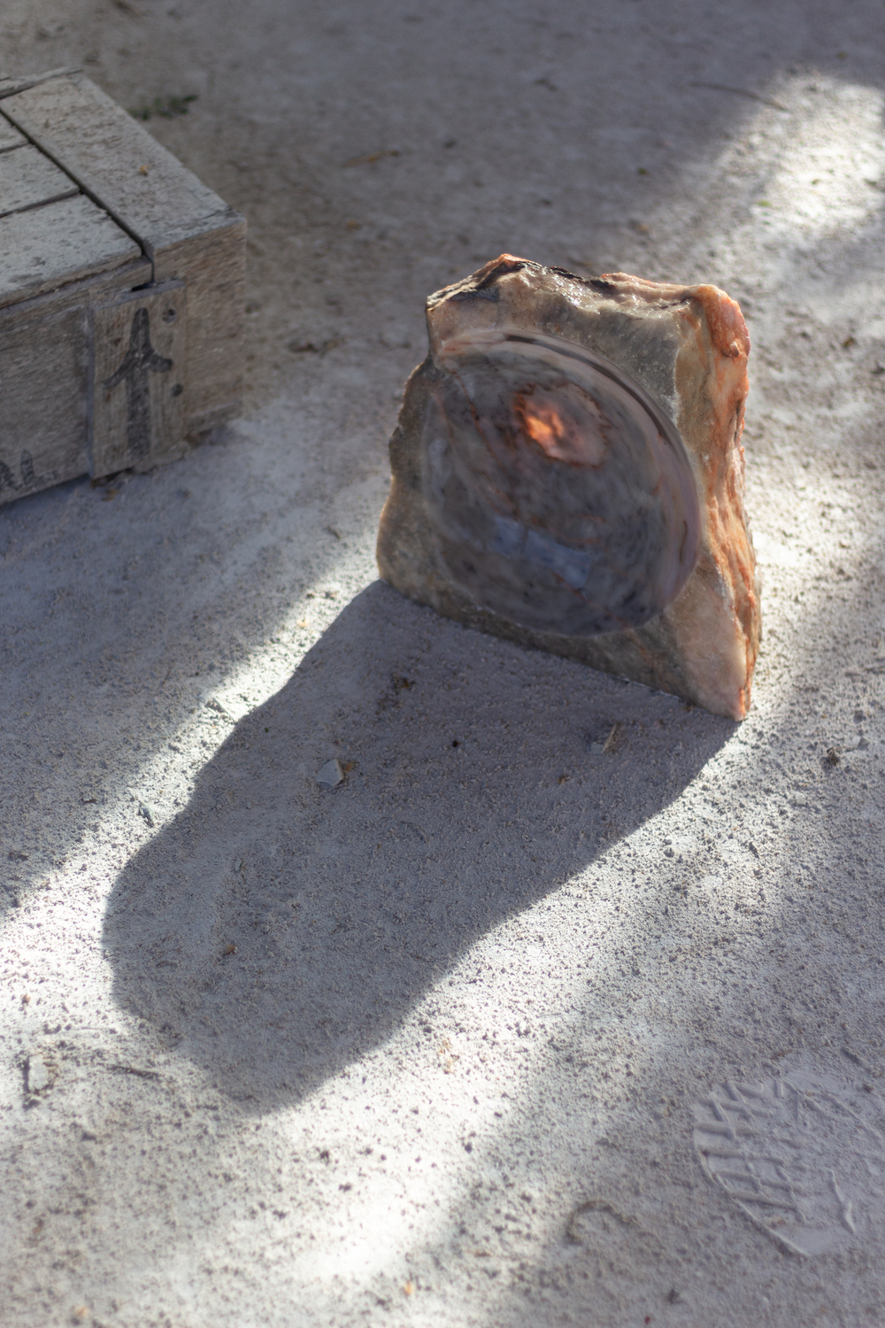 Photo by Antônio Frederico Lasalvia